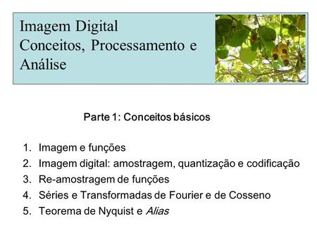 Imagem Digital Conceitos, Processamento e Análise 1.Imagem e funções 2.Imagem digital: amostragem, quantização e codificação 3.Re-amostragem de funções.