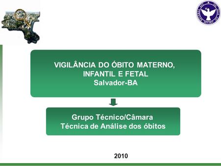 2010 VIGILÂNCIA DO ÓBITO MATERNO, INFANTIL E FETAL Salvador-BA Grupo Técnico/Câmara Técnica de Análise dos óbitos.