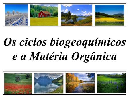 Os ciclos biogeoquímicos e a Matéria Orgânica