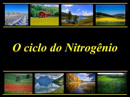 O ciclo do Nitrogênio.