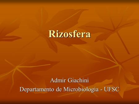 Admir Giachini Departamento de Microbiologia - UFSC