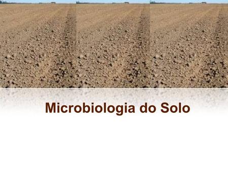 Microbiologia do Solo.