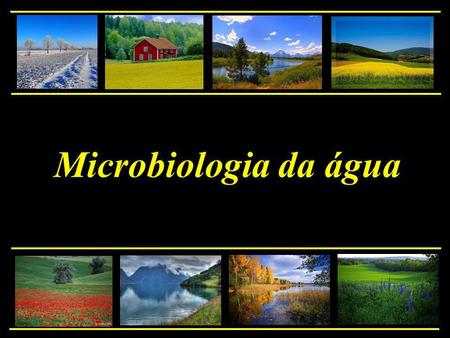 Microbiologia da água.
