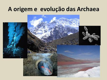 A origem e evolução das Archaea