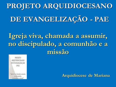 PROJETO ARQUIDIOCESANO DE EVANGELIZAÇÃO - PAE