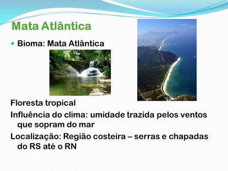 Mata Atlântica Bioma: Mata Atlântica Floresta tropical