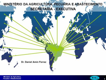 Ministério da Agricultura, Pecuária e Abastecimento 1 MINISTÉRIO DA AGRICULTURA, PECUÁRIA E ABASTECIMENTO SECRETARIA - EXECUTIVA Dr. Daniel Amin Ferraz.