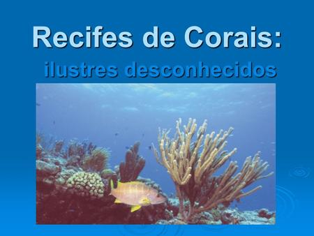 Recifes de Corais: ilustres desconhecidos