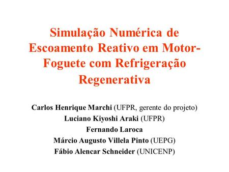 Carlos Henrique Marchi (UFPR, gerente do projeto)