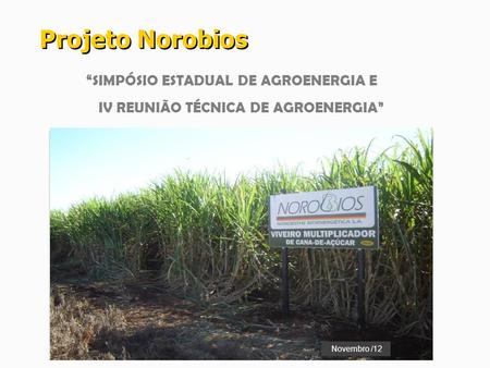 Projeto Norobios “SIMPÓSIO ESTADUAL DE AGROENERGIA E