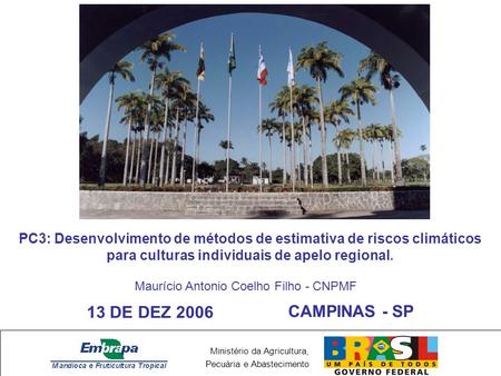 PC3: Desenvolvimento de métodos de estimativa de riscos climáticos para culturas individuais de apelo regional. Maurício Antonio Coelho Filho - CNPMF 13.