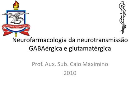 Neurofarmacologia da neurotransmissão GABAérgica e glutamatérgica