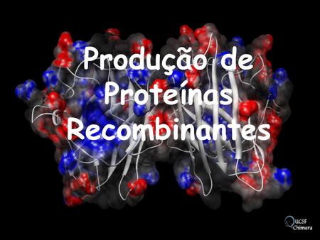 Produção de Proteínas Recombinantes