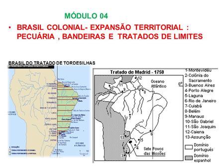 MÓDULO 04 BRASIL COLONIAL- EXPANSÃO TERRITORIAL : PECUÁRIA , BANDEIRAS E TRATADOS DE LIMITES BRASIL DO TRATADO DE TORDESILHAS.