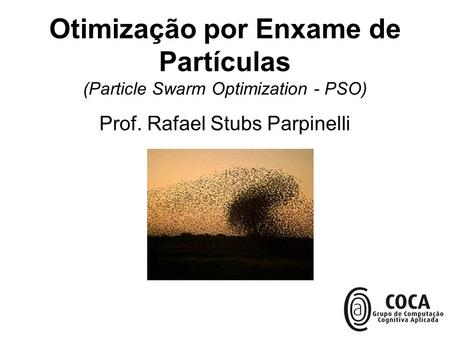 Prof. Rafael Stubs Parpinelli