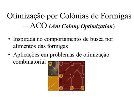 Otimização por Colônias de Formigas – ACO (Ant Colony Optimization)
