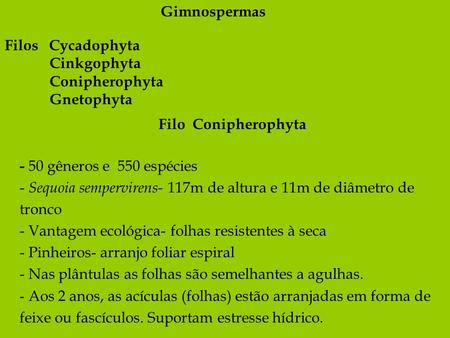 Gimnospermas Filos   Cycadophyta Cinkgophyta Conipherophyta Gnetophyta