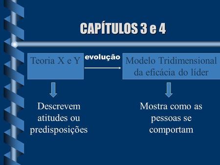 CAPÍTULOS 3 e 4 Teoria X e Y Modelo Tridimensional