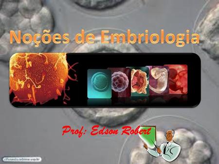 Noções de Embriologia Prof: Edson Robert.