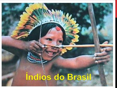 Índios do Brasil.