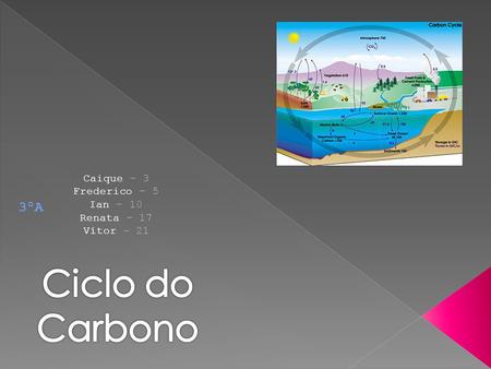 Ciclo do Carbono 3ºA Caique – 3 Frederico – 5 Ian – 10 Renata – 17