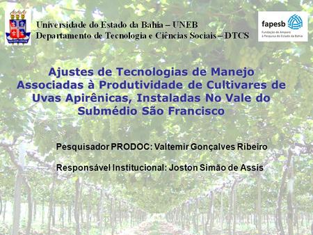 Ajustes de Tecnologias de Manejo Associadas à Produtividade de Cultivares de Uvas Apirênicas, Instaladas No Vale do Submédio São Francisco Pesquisador.