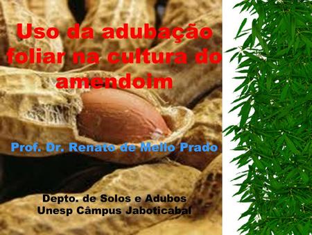 Uso da adubação foliar na cultura do amendoim Prof. Dr