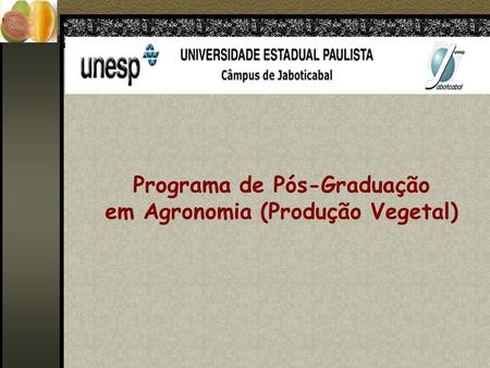 Programa de Pós-Graduação em Agronomia (Produção Vegetal)