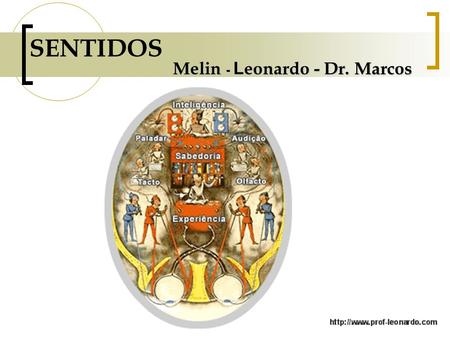 SENTIDOS Melin - Leonardo - Dr. Marcos.