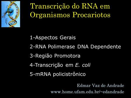 Transcrição do RNA em Organismos Procariotos