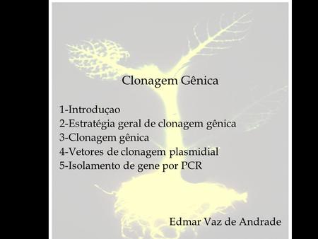 Clonagem Gênica 1-Introduçao 2-Estratégia geral de clonagem gênica