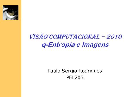 Visão Computacional – 2010 q-Entropia e Imagens