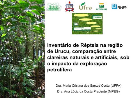 Inventário de Répteis na região de Urucu, comparação entre clareiras naturais e artificiais, sob o impacto da exploração petrolífera Dra. Maria Cristina.
