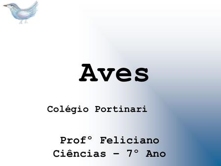Aves Colégio Portinari Profº Feliciano Ciências – 7º Ano.