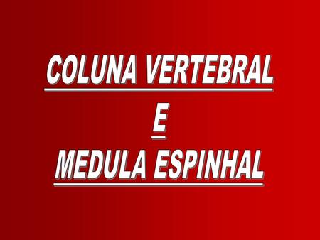 COLUNA VERTEBRAL E MEDULA ESPINHAL.