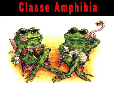 Classe Amphibia.