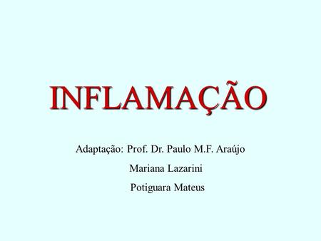 Adaptação: Prof. Dr. Paulo M.F. Araújo