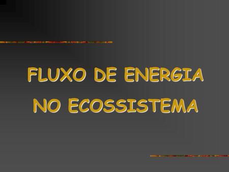 FLUXO DE ENERGIA NO ECOSSISTEMA.