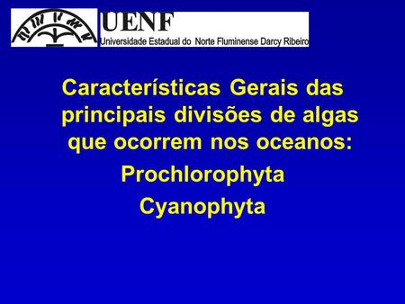 Características Gerais das principais divisões de algas que ocorrem nos oceanos: Prochlorophyta Cyanophyta.