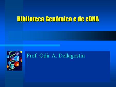 Prof. Odir A. Dellagostin