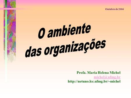 O ambiente das organizações Profa. Maria Helena Michel