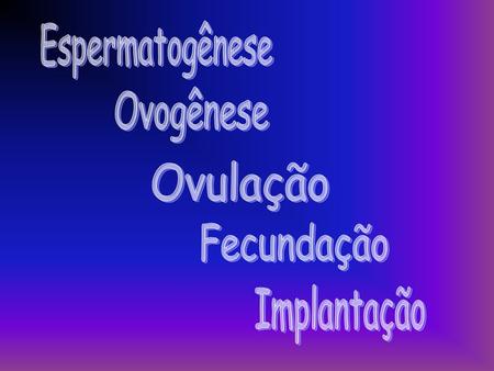Espermatogênese Ovogênese Ovulação Fecundação Implantação.