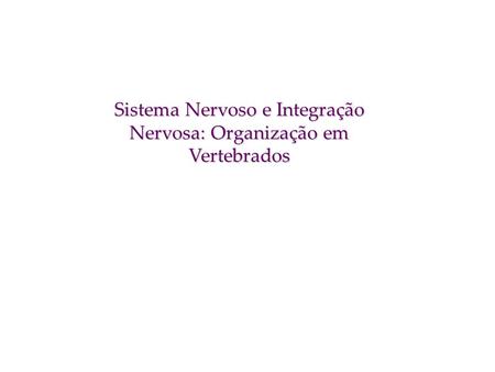 Sistema Nervoso e Integração Nervosa: Organização em Vertebrados
