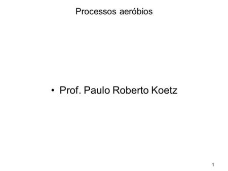 Prof. Paulo Roberto Koetz