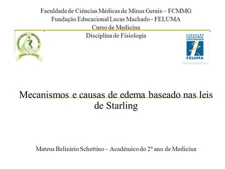Mecanismos e causas de edema baseado nas leis de Starling