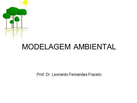 MODELAGEM AMBIENTAL Prof. Dr. Leonardo Fernandes Fraceto
