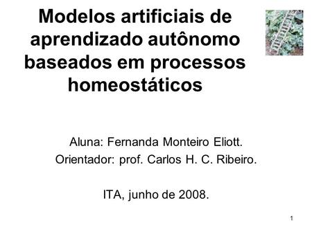 Aluna: Fernanda Monteiro Eliott.