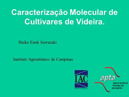 Caracterização Molecular de Cultivares de Videira.