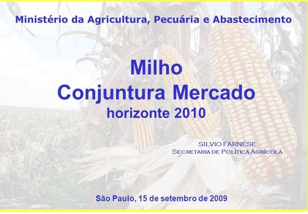 Milho Conjuntura Mercado horizonte 2010