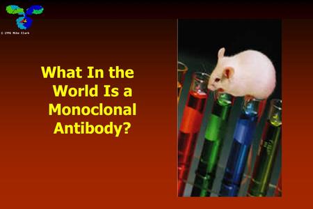 What In the World Is a Monoclonal Antibody?
